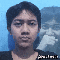 Sedseda GIF