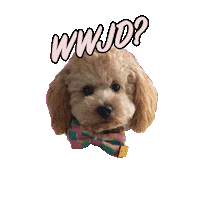 Feelgoodclub dog coffee good club Sticker