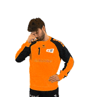 swisshandball_official no sad shaking head ohmygod Sticker