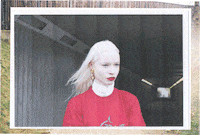 art direction GIF by MEGAN X KATHRYN PURVES