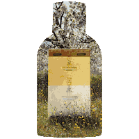 Bee Perfume Sticker by Apivita