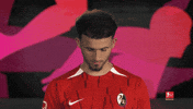 Look Up Sc Freiburg GIF by Bundesliga