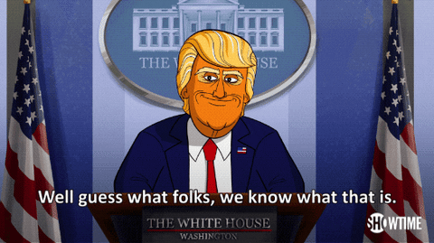 season 1 fake news GIF by Our Cartoon President
