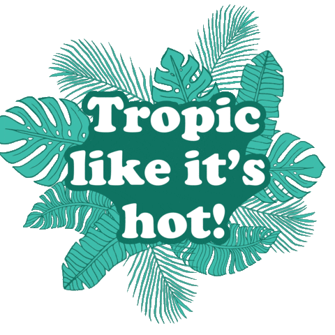 Koslik tropical palm palms tropic Sticker