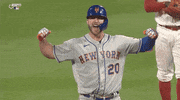 Excited New York Mets GIF by Jomboy Media