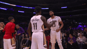 anthony davis basketball GIF by NBA