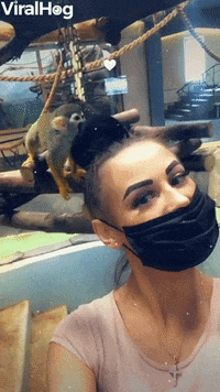 Rambunctious Monkey Snags A Few Lashes GIF by ViralHog