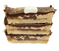 Food Chocolate Sticker by foodbabyny