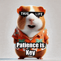 Wisdom GIF by Guinea Gambino