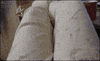 Cat Sup GIF