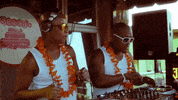 house music alex GIF by Universal Music Africa