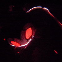 Hollow Knight Grimm GIF