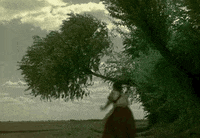 Film Run GIF