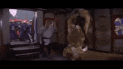 kung fu GIF by Shaw Brothers
