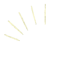 Shine Brillo Sticker