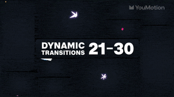 Dynamic Transitions 21 30