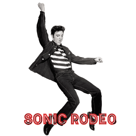 Las Vegas Elvis Sticker by Lacey Flynn