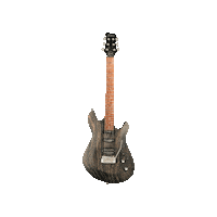 theguitarmaster germany guitar netherlands diablo Sticker