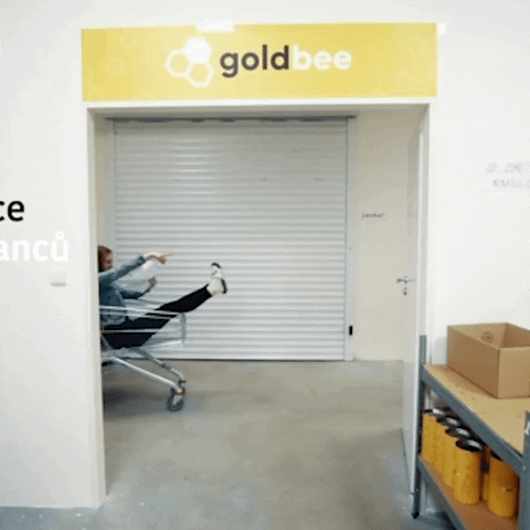 goldbee goldbee GIF