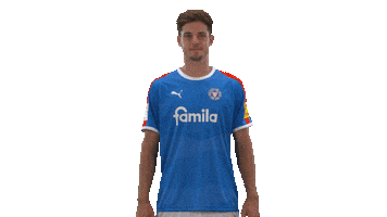 2 Bundesliga Yes Sticker by Holstein Kiel