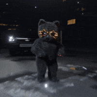 purrfreak dance cat kitty shine GIF