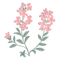 Pink Flowers Sticker by Little Planet