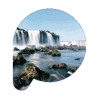 Privacybrasil Sticker by Privacy