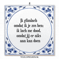 Humor Wijsheid GIF by Tegelspreuken.nl