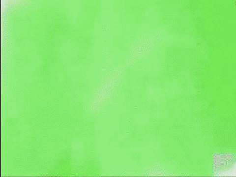 GIF by LincolnMellowMushroom