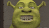 shrek GIF