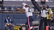 Number One Reaction GIF by New England Patriots