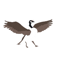 Goose Waterloo Sticker by YourWusa
