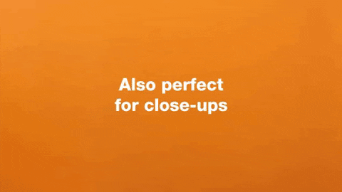 jestine giphygifmaker GIF