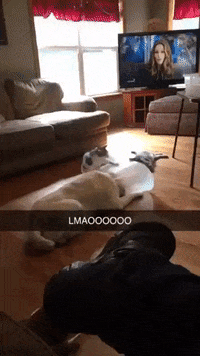 madmoizelledotcom  GIF