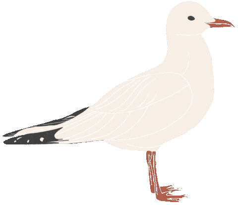 Summer Illustration Sticker