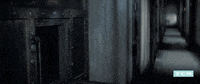 Steve Mcqueen Hello GIF by Turner Classic Movies