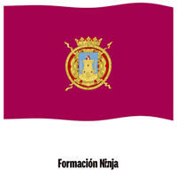 Region De Murcia Flag GIF by Formación Ninja