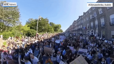 news giphydvr protest climate change ireland GIF