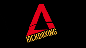 Kickboxclub_Apex apex apexkickboxing apexbasel GIF