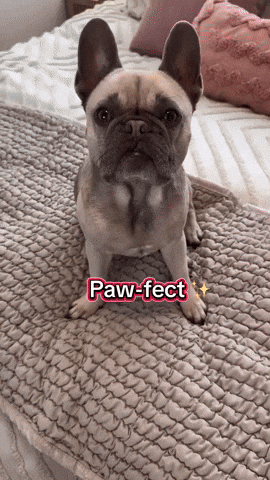 Up Top GIF by mammamiacovers