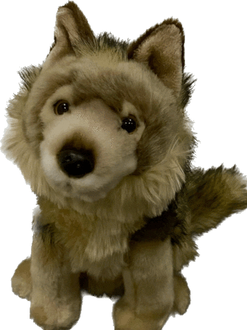 westerwald_volleys giphyupload www walter Sticker