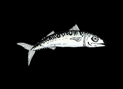 EauLarge giphygifmaker poisson nage eau large GIF