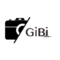 GiBi-Media marketing social media photography camera Sticker