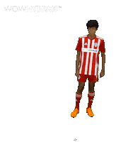 Gabriel Jesus Football Sticker by Gulf United FC