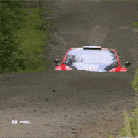 Hyundai GIF by FIA World Rally Championship