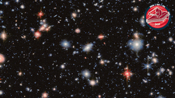James Webb Nasa GIF by ESA Webb Space Telescope