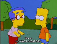 homer simpson dog GIF