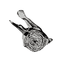 Drawing Painting Sticker