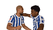 Home Facepalm Sticker by Hertha BSC