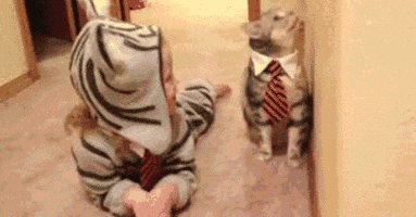 birth GIF